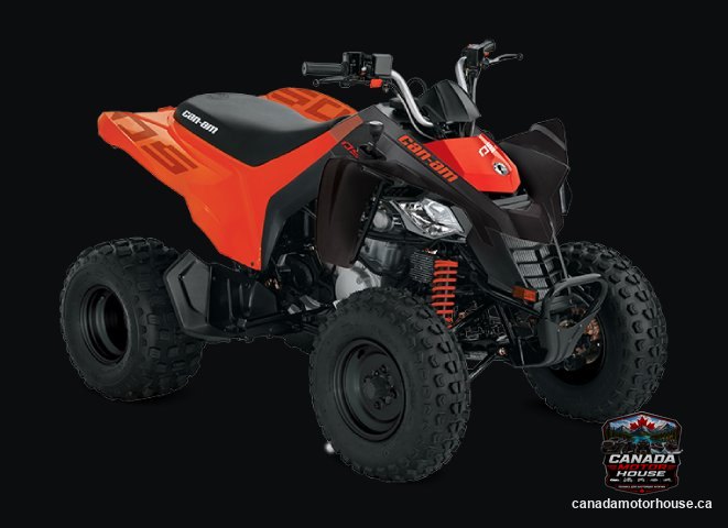 Can-Am DS 250 2025