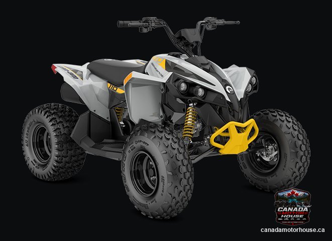 Can-Am Renegade 110 EFI 2025