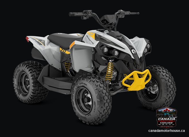 Can-Am Renegade 70 EFI 2025