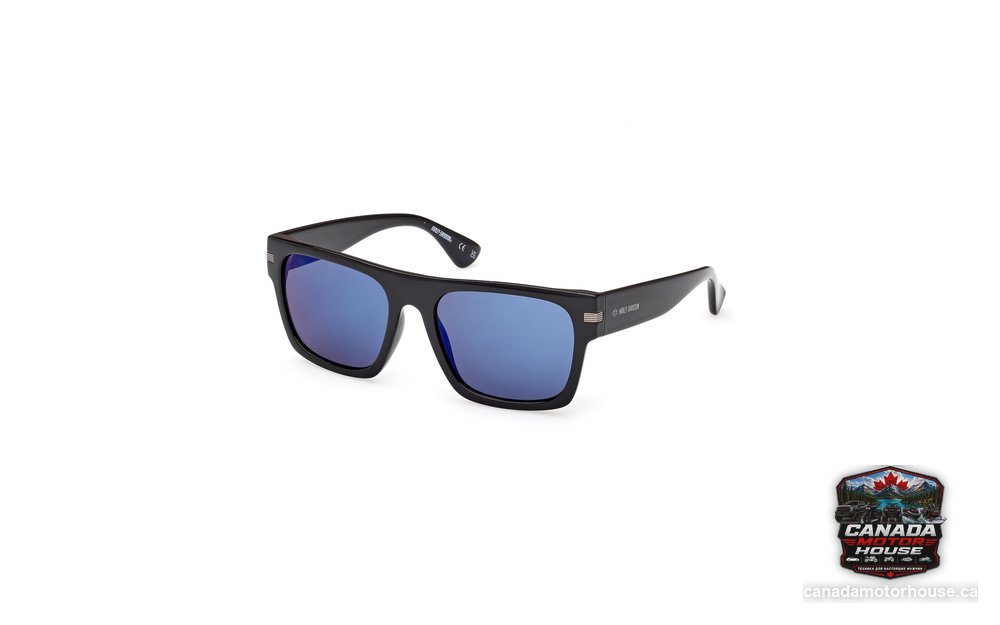 Harley-Davidson Wayfarer Sunglasses